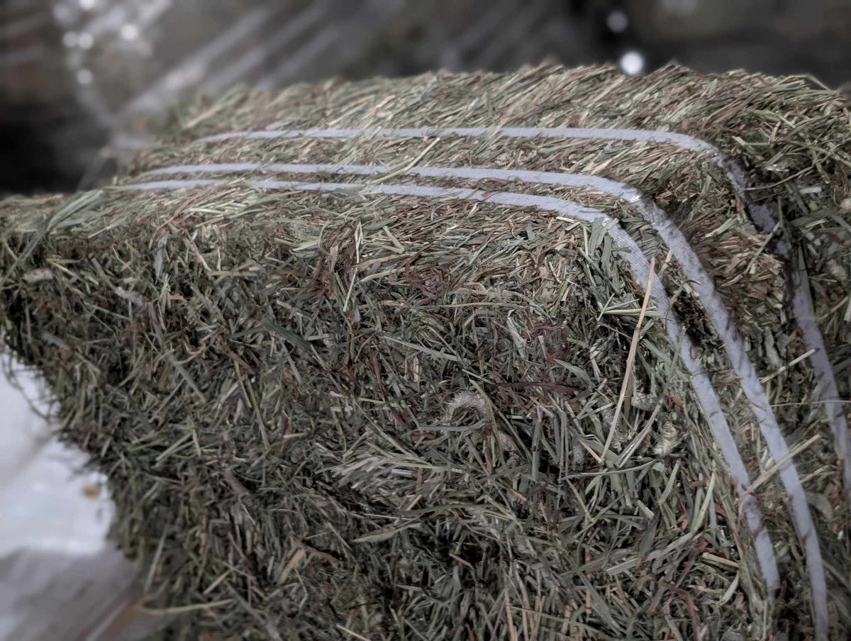 25 lb Timothy Hay Mix 2nd Cut