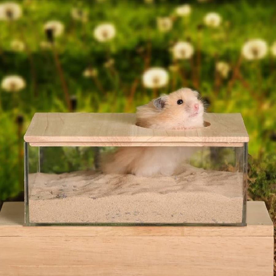 Hamster litter sand sale