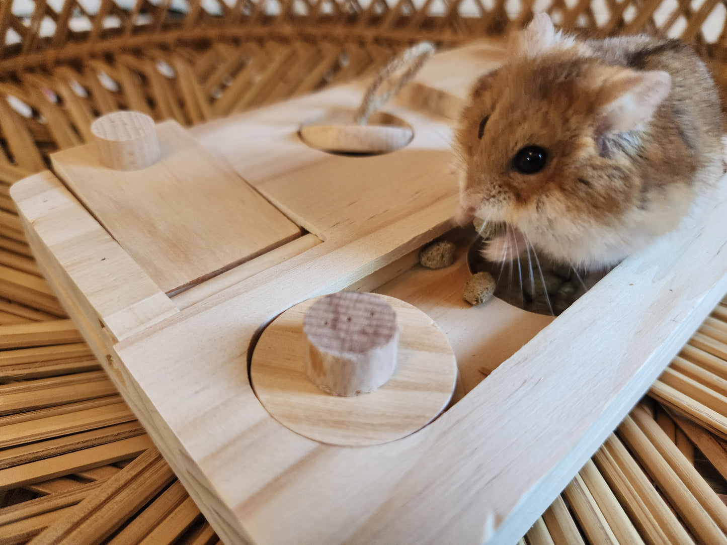 Interactive wooden Treat Dispenser