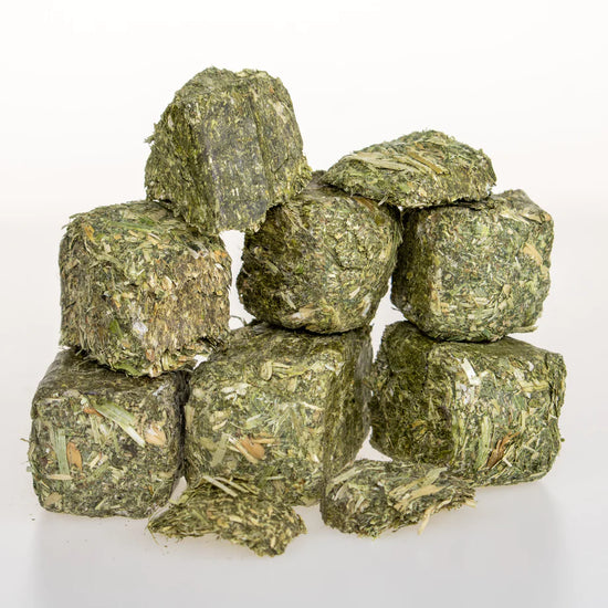 Timothy-Alfalfa Hay cubes - 1.5 lb