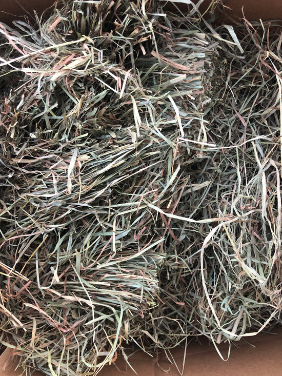 Load image into Gallery viewer, 20 lb -  2nd Timothy Hay (2023- 2nd Cut)
