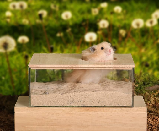  Sand Bath House for Hamsters