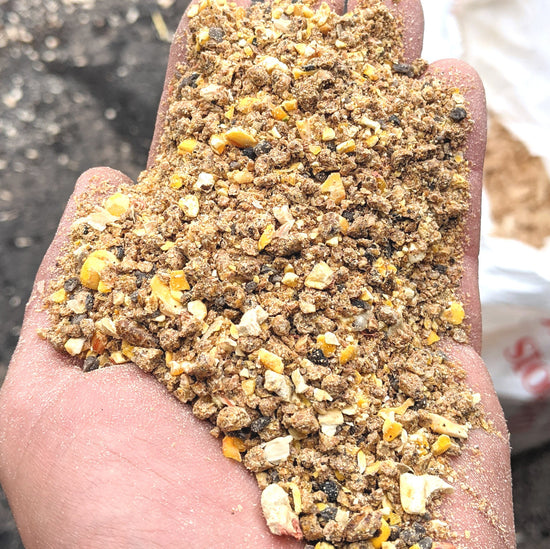 Laying Hen - Textured Feed